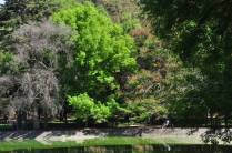 Bela paisagem no Parque Chapultepec, na Cidade do México, capital do país